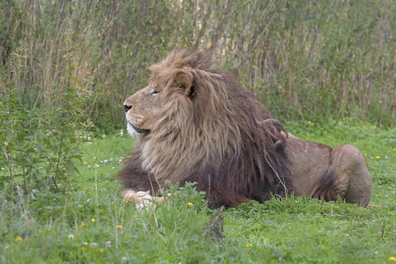 Cjp_2011_08_02_165737 (1).jpg